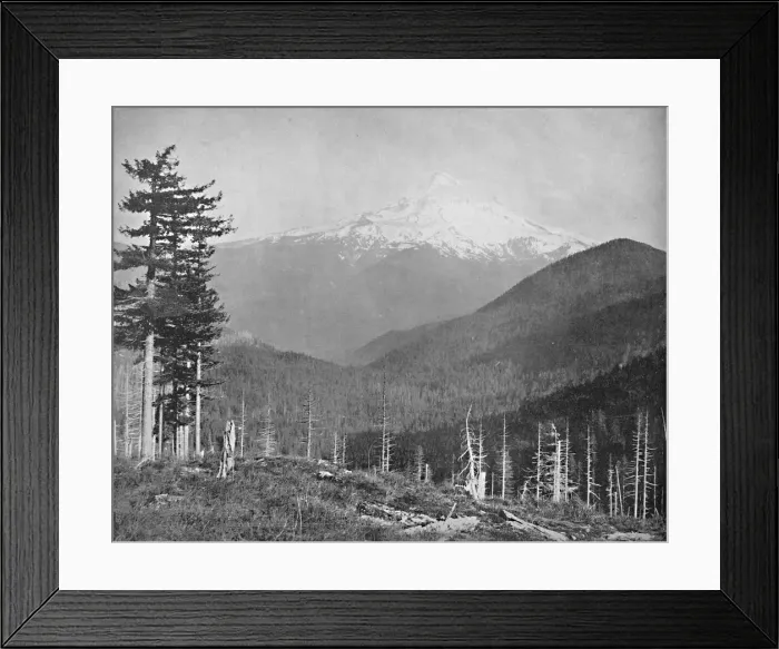 Framed Print : Mount Hood, Oregon, c1897. Creator: Unknown Framed Print : Mount Hood, Oregon, c1897. Creator: Unknown