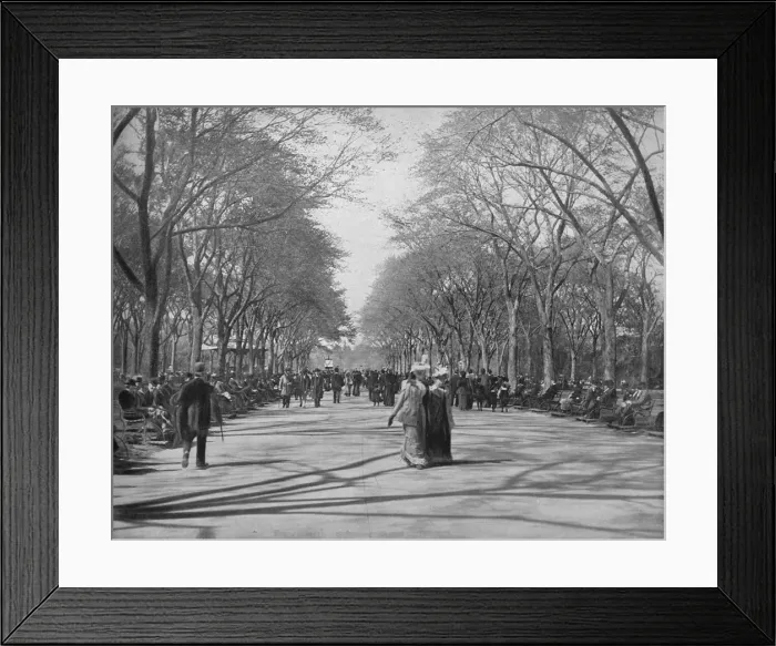 Framed Print : The Mall, Central Park, New York, c1897. Creator: Unknown