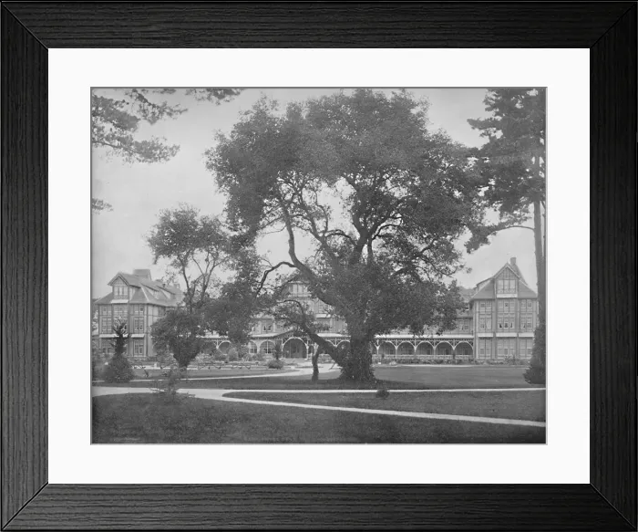 Framed Print : Del Monte, Monterey, California, c1897. Creator: Unknown Framed Print : Del Monte, Monterey, California, c1897. Creator: Unknown