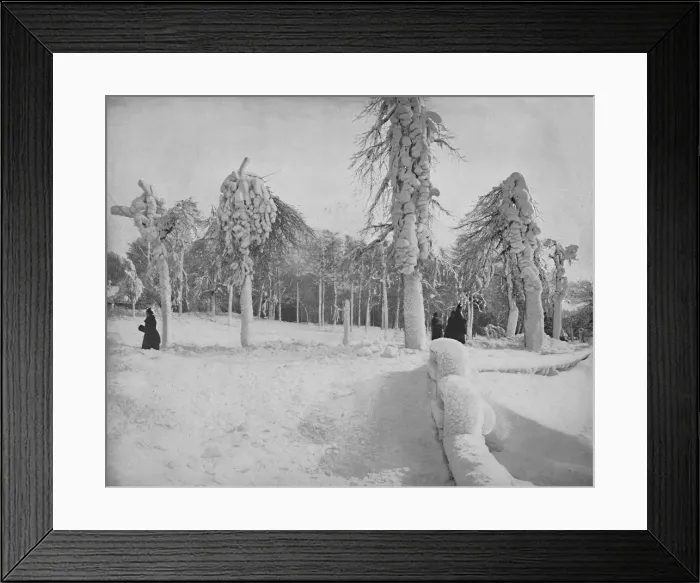 Framed Print : Frost Work in Prospect Park, Niagara, c1897. Creator: Unknown Framed Print : Frost Work in Prospect Park, Niagara, c1897. Creator: Unknown