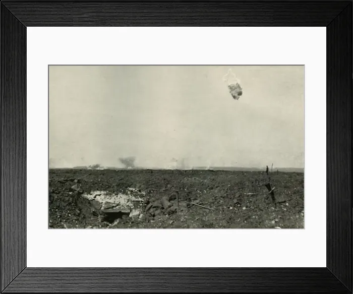 Framed Print : The Woolly Bear. (1919). Creator: Unknown Framed Print : The Woolly Bear. (1919). Creator: Unknown
