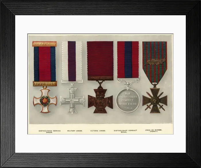 Framed Print : War Decorations, (1919). Creator: Unknown