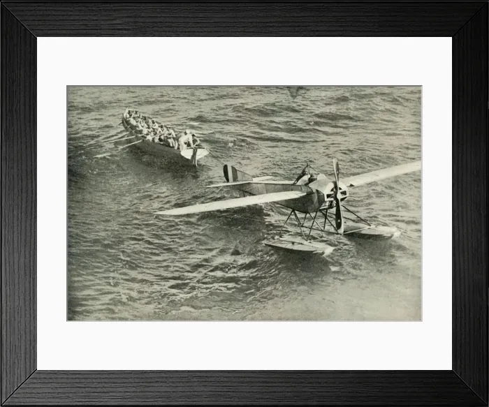 Framed Print : The Return to the Dove to the Ark, (1919). Creator: Unknown Framed Print : The Return to the Dove to the Ark, (1919). Creator: Unknown