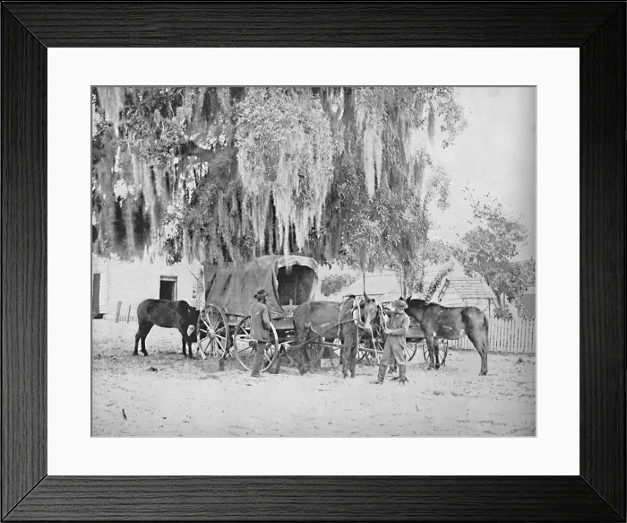 Framed Print : A Merchant from San Antonio, Texas, c1897. Creator: Unknown Framed Print : A Merchant from San Antonio, Texas, c1897. Creator: Unknown