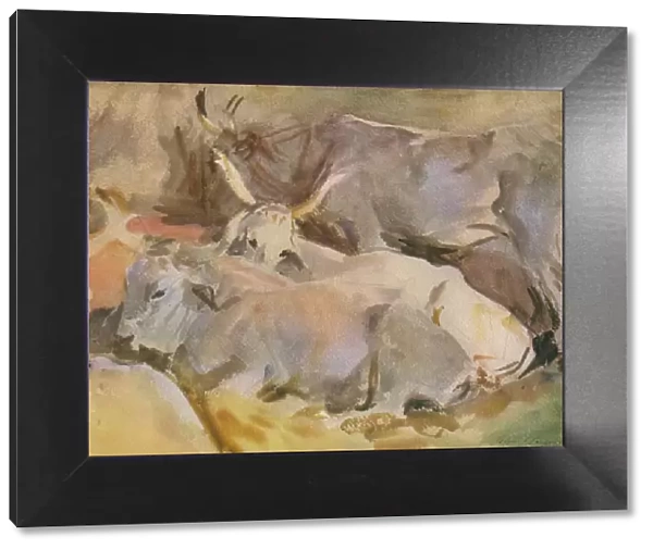 Oxen at Siena, c1910, (1936). Creator: John Singer Sargent
