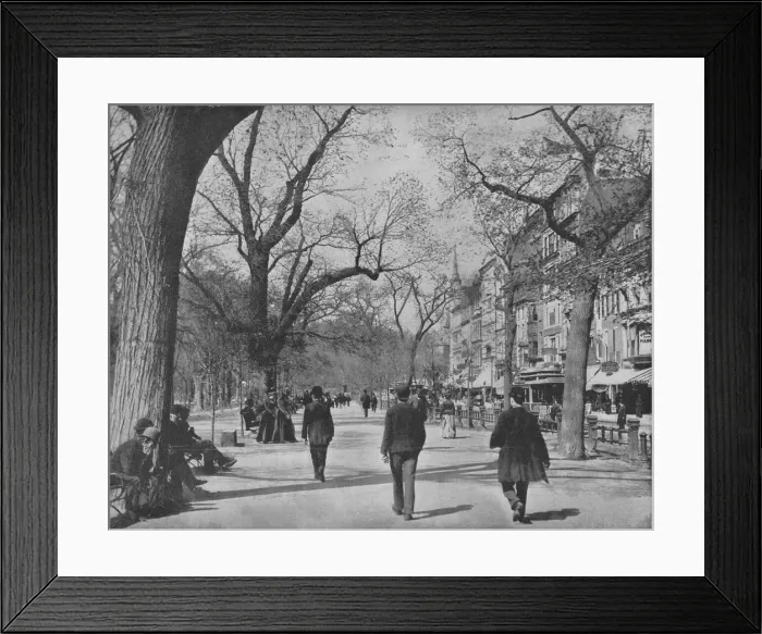 Framed Print : Tremont Street and The Common, Boston, c1897. Creator: Unknown Framed Print : Tremont Street and The Common, Boston, c1897. Creator: Unknown