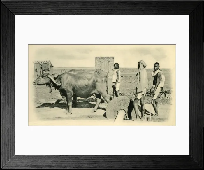 Framed Print : Mixing Mortar. Creator: Unknown Framed Print : Mixing Mortar. Creator: Unknown