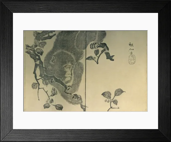 Framed Print : Monkey, 1815, (1924). Creator: Mori Sosen Framed Print : Monkey, 1815, (1924). Creator: Mori Sosen