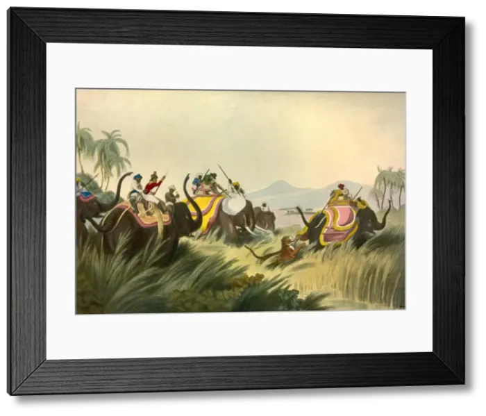 Framed Print : The Tiger Hunt, c1808, (1901). Creator: Unknown Framed Print : The Tiger Hunt, c1808, (1901). Creator: Unknown