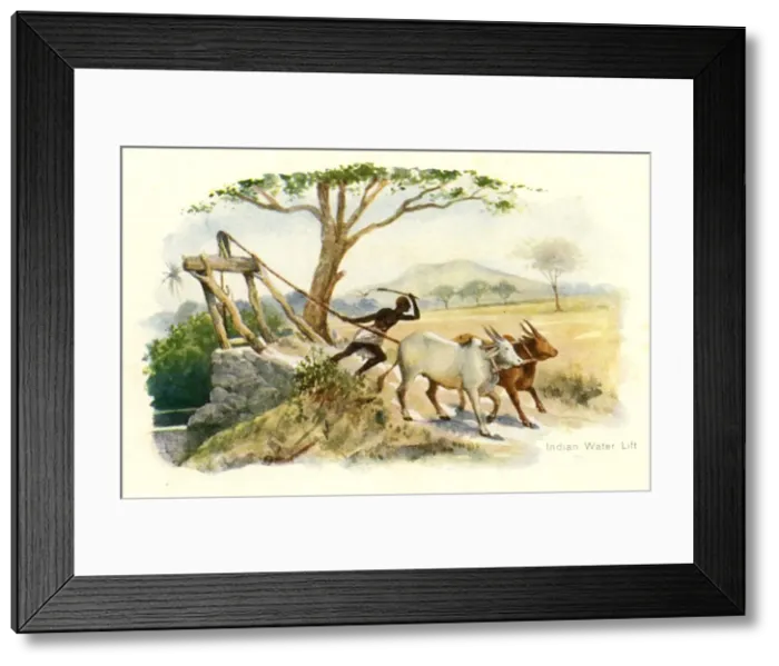 Framed Print : Indian Water Lift. Creator: Unknown Framed Print : Indian Water Lift. Creator: Unknown