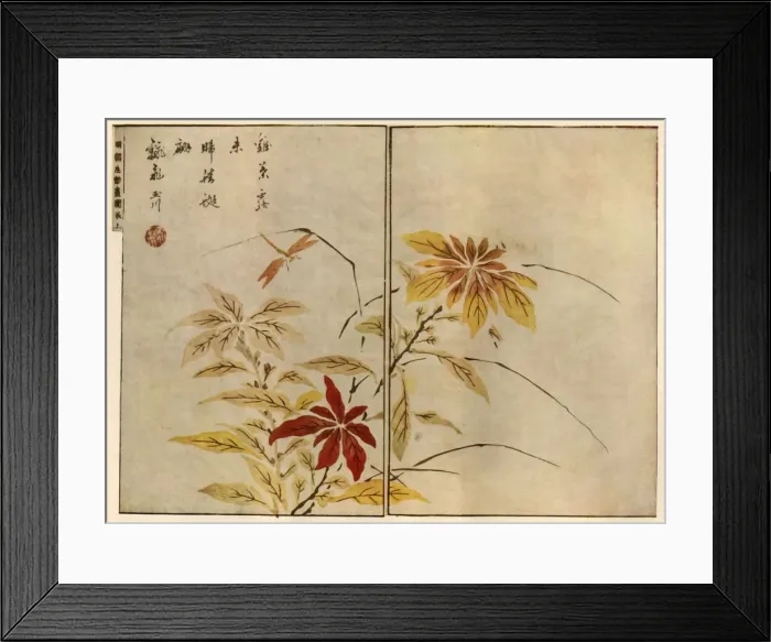 Framed Print : Dragonfly with plants, 1746, (1924). Creator: Ooka Shunboku Framed Print : Dragonfly with plants, 1746, (1924). Creator: Ooka Shunboku