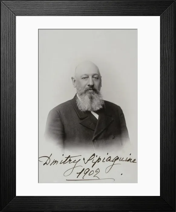 Framed Print : Portrait of Dmitry Sergeyevich Sipyagin (1853-1902), 1902. Artist: Levitsky, Sergei Lvovich Framed Print : Portrait of Dmitry Sergeyevich Sipyagin (1853-1902), 1902. Artist: Levitsky, Sergei Lvovich