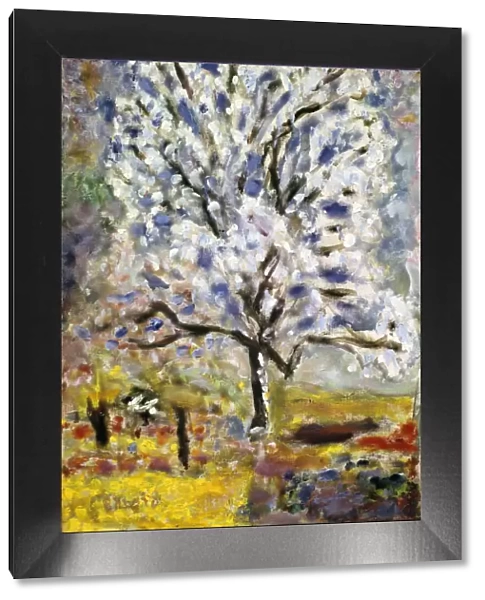 The Almond Tree in Blossom, 1947. Artist: Pierre Bonnard