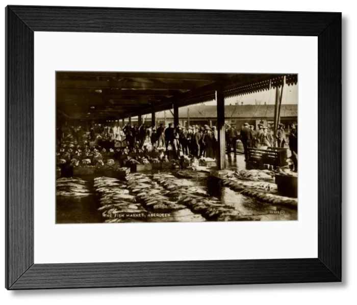 Framed Print : The Fish Market, Aberdeen, late 19th-early 20th century. Creator: Unknown Framed Print : The Fish Market, Aberdeen, late 19th-early 20th century. Creator: Unknown