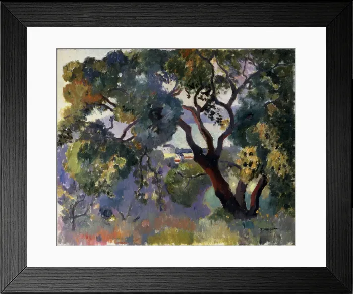 Framed Print : Landscape in Saint-Tropez, 1905. Artist: Henri Manguin Framed Print : Landscape in Saint-Tropez, 1905. Artist: Henri Manguin