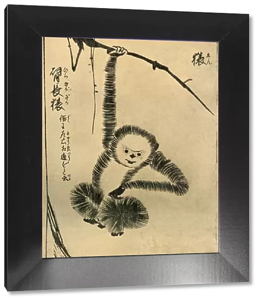 Monkey, 1720, (1924). Creator: Tachibana Morikuni