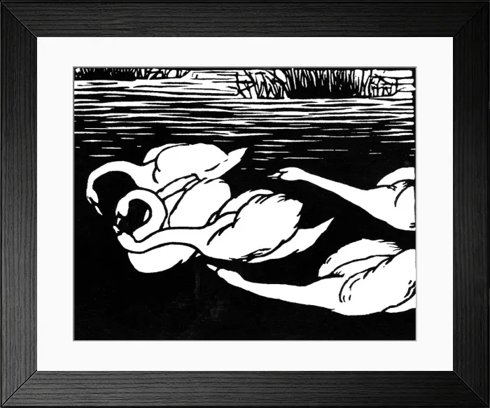 Framed Print : Swans, 1892. Artist: Felix Vallotton Framed Print : Swans, 1892. Artist: Felix Vallotton