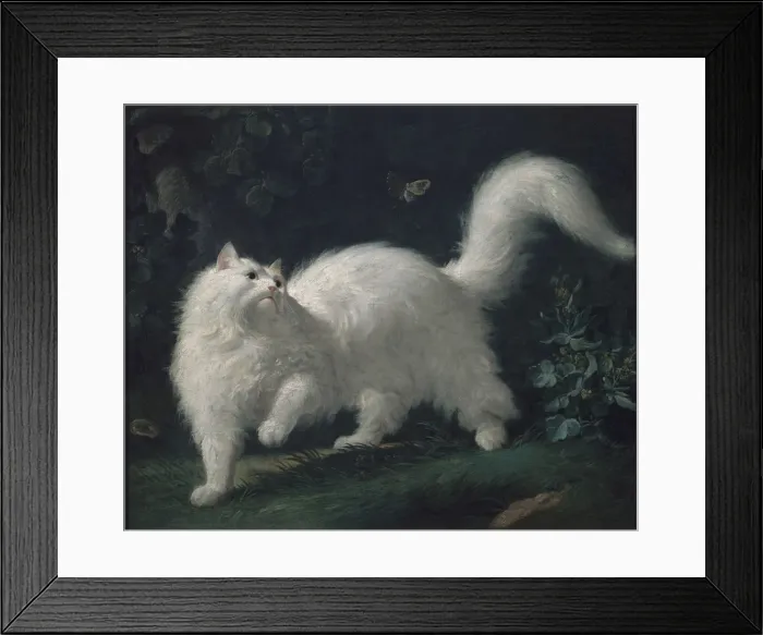 Framed Print : Angora cat chasing a butterfly, ca 1760. Creator: Bachelier, Jean-Jacques (1724-1806) Framed Print : Angora cat chasing a butterfly, ca 1760. Creator: Bachelier, Jean-Jacques (1724-1806)