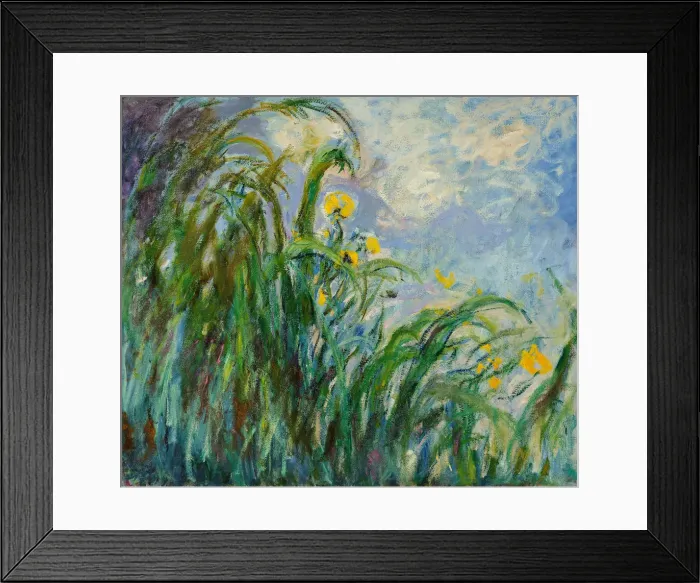 Framed Print : Yellow irises, c. 1925. Creator: Monet, Claude (1840-1926) Framed Print : Yellow irises, c. 1925. Creator: Monet, Claude (1840-1926)