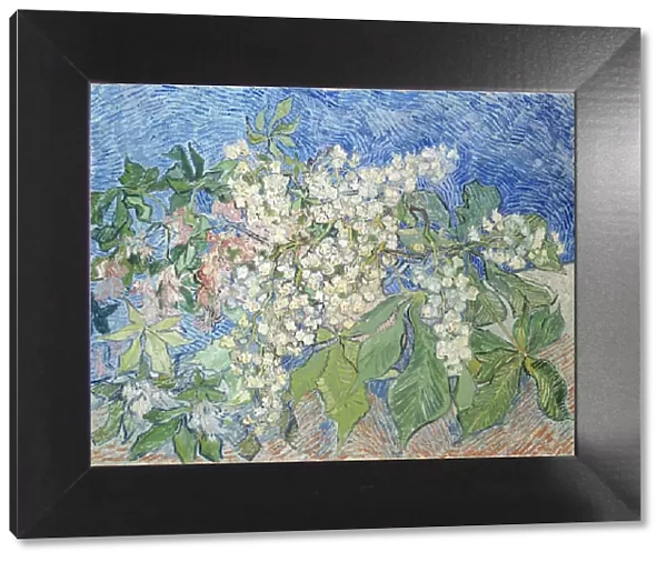 Branches de marronniers en fleur, 1890. Creator: Gogh, Vincent, van (1853-1890)