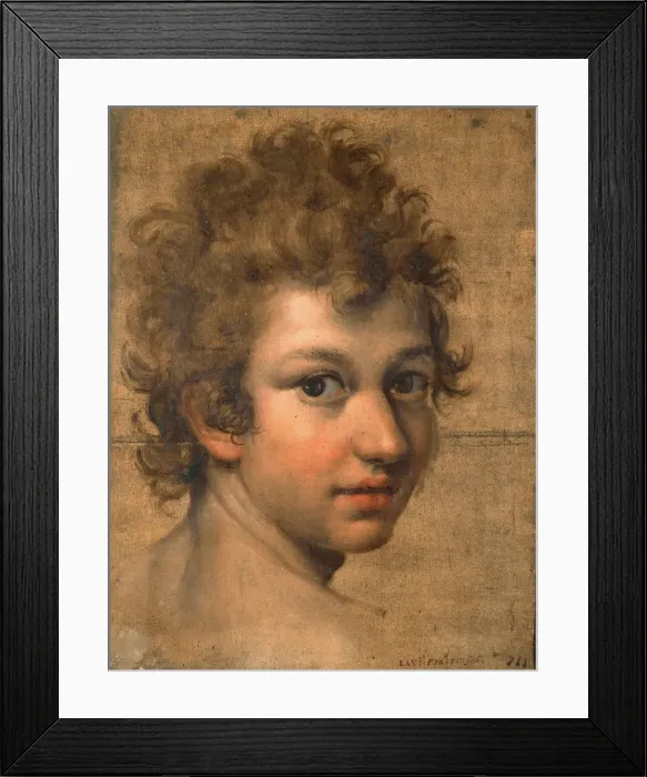 Framed Print : Portrait of a Boy. Creator: Fontana, Lavinia (1552-1614) Framed Print : Portrait of a Boy. Creator: Fontana, Lavinia (1552-1614)