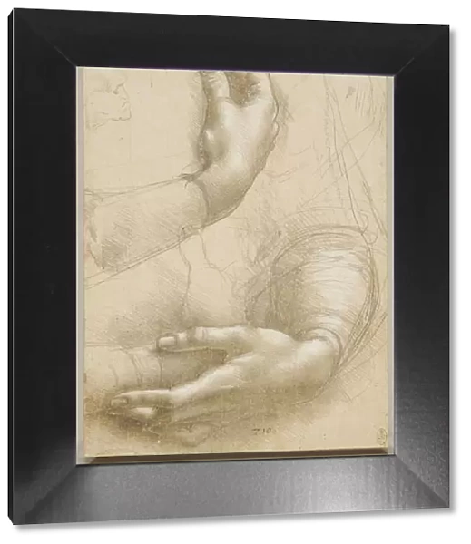 Arms and female hands, c. 1480. Creator: Leonardo da Vinci (1452-1519)