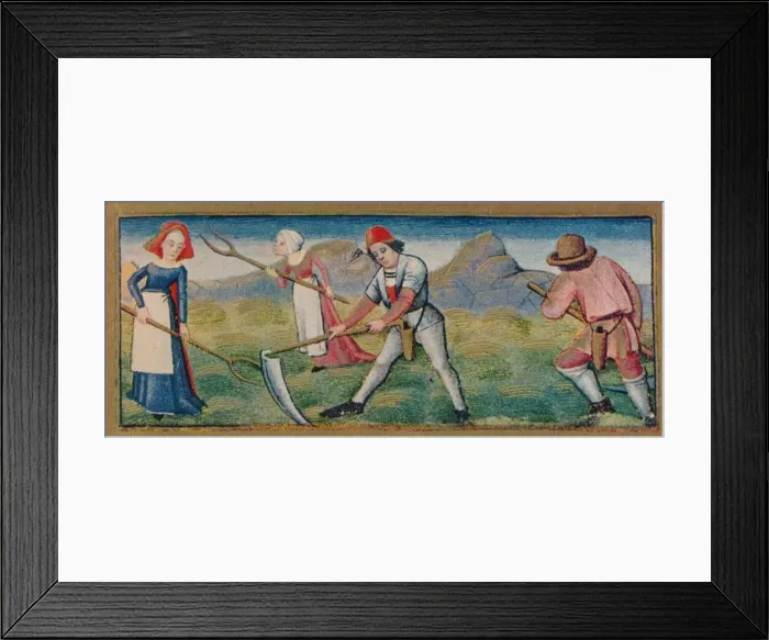 Framed Print : June - mowing, 15th century, (1939). Creator: Robinet Testard Framed Print : June - mowing, 15th century, (1939). Creator: Robinet Testard