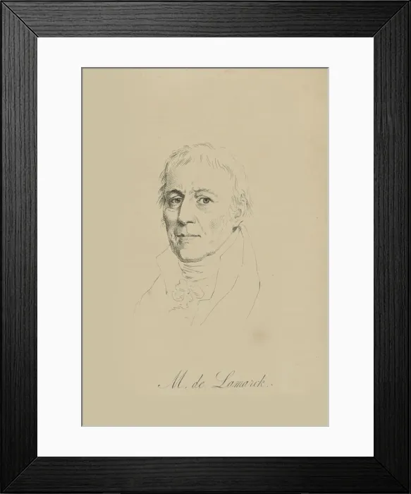 Framed Print : Jean-Baptiste Pierre Antoine de Monet, Chevalier de Lamarck (1744-1829), c. 1810 Framed Print : Jean-Baptiste Pierre Antoine de Monet, Chevalier de Lamarck (1744-1829), c. 1810
