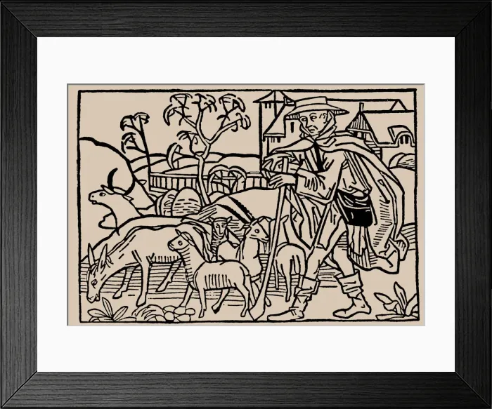 Framed Print : Shepherd. From Speculum Vitae Humanae by Rodericus Zamorensis, 1479. Creator: Anonymous Framed Print : Shepherd. From Speculum Vitae Humanae by Rodericus Zamorensis, 1479. Creator: Anonymous