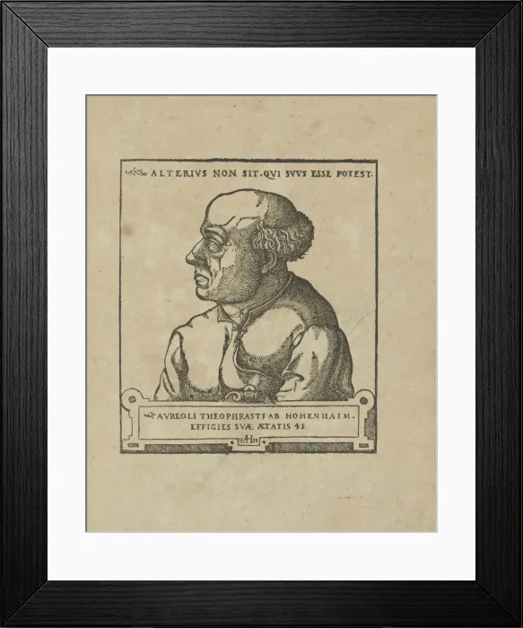 Framed Print : Philippus Theophrastus Aureolus Bombastus von Hohenheim (Paracelsus), ca 1538. Creator: Anonymous Framed Print : Philippus Theophrastus Aureolus Bombastus von Hohenheim (Paracelsus), ca 1538. Creator: Anonymous