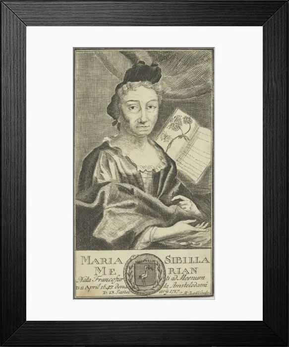 Framed Print : Portrait of Maria Sibylla Merian (1647-1717), 1755. Creator: Anonymous Framed Print : Portrait of Maria Sibylla Merian (1647-1717), 1755. Creator: Anonymous