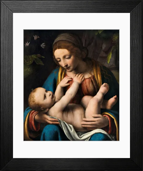 Framed Print : Madonna and Child, 1515-1523. Creator: Luini, Bernardino (ca. 1480-1532) Framed Print : Madonna and Child, 1515-1523. Creator: Luini, Bernardino (ca. 1480-1532)