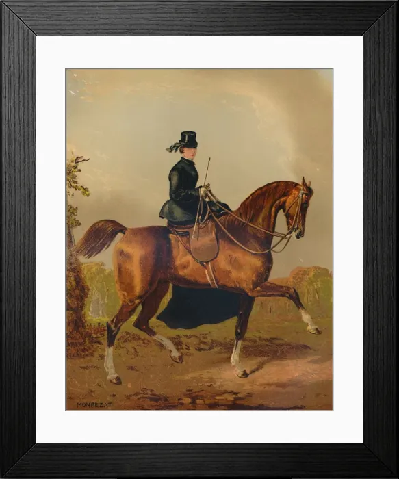 Framed Print : A Ladies Horse - The Property of the Late Earl of Pembroke, c1840s, (c1879). Creator Framed Print : A Ladies Horse - The Property of the Late Earl of Pembroke, c1840s, (c1879). Creator