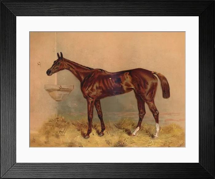 Framed Print : Emblem, Steeplechase Mare, c1879. Creator: Unknown Framed Print : Emblem, Steeplechase Mare, c1879. Creator: Unknown