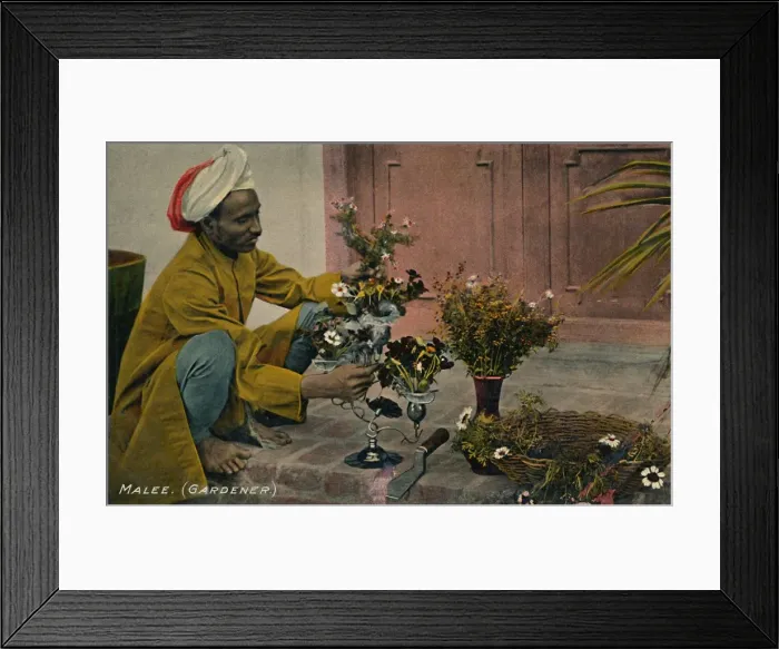 Framed Print : Malee. (Gardener), c1910. Creator: Unknown Framed Print : Malee. (Gardener), c1910. Creator: Unknown