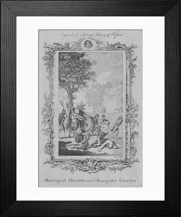 Framed Print : Murdering the Druids and Burning their Groves, 1773. Creator: William Walker Framed Print : Murdering the Druids and Burning their Groves, 1773. Creator: William Walker