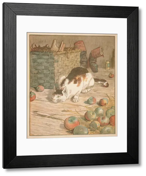 Framed Print : The cat that ate the rat that ate the malt... c1878. Creator: Randolph Caldecott Framed Print : The cat that ate the rat that ate the malt... c1878. Creator: Randolph Caldecott
