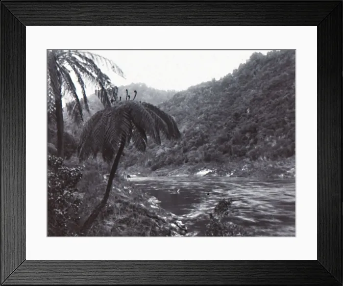 Framed Print : Wanganui River, late 19th-early 20th century. Creator: Unknown Framed Print : Wanganui River, late 19th-early 20th century. Creator: Unknown