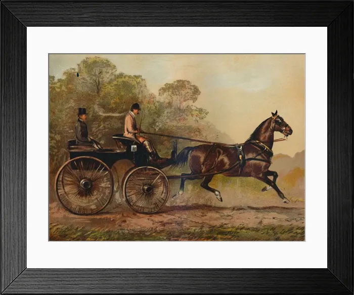 Framed Print : Single Harness Phaeton Horse Columbine. Property of Charles Baynes Esq Framed Print : Single Harness Phaeton Horse Columbine. Property of Charles Baynes Esq