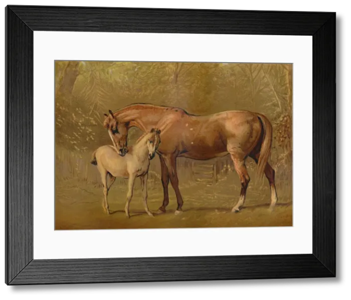 Framed Print : Thoroughbred Mare & Foal, c1879. Creator: Unknown Framed Print : Thoroughbred Mare & Foal, c1879. Creator: Unknown