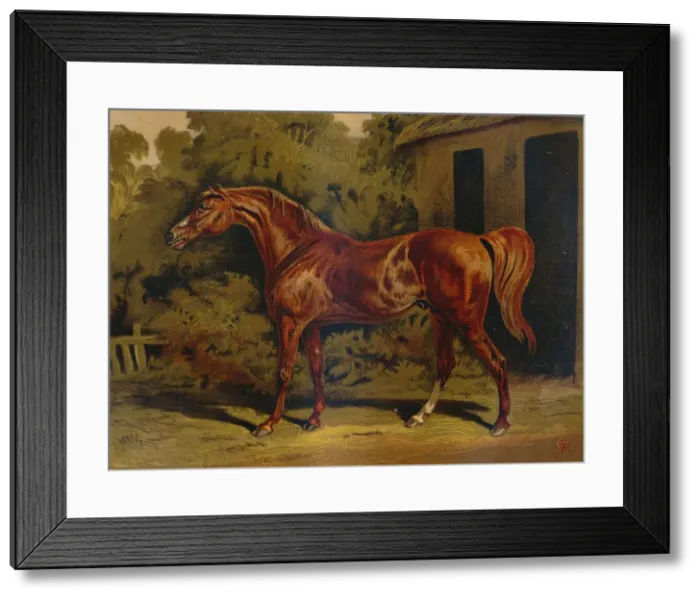 Framed Print : Eclipse, c1879. Creator: Unknown Framed Print : Eclipse, c1879. Creator: Unknown