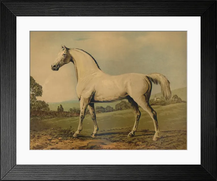 Framed Print : Mambrino. Bred by Lord Grosvenor, c1770s, (c1879). Creator: George Stubbs Framed Print : Mambrino. Bred by Lord Grosvenor, c1770s, (c1879). Creator: George Stubbs