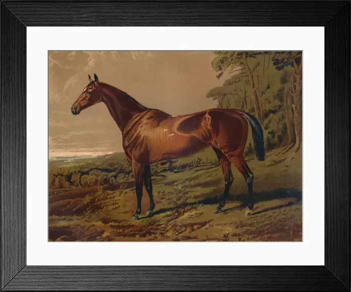 Framed Print : Fair Nell, c1879. Creator: Unknown Framed Print : Fair Nell, c1879. Creator: Unknown