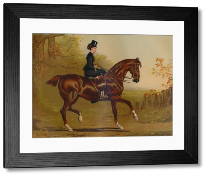 Framed Print : Going To Cover - A Portrait, c1879. Creator: Alfred Chantrey Corbould Framed Print : Going To Cover - A Portrait, c1879. Creator: Alfred Chantrey Corbould