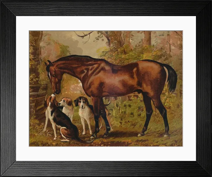 Framed Print : Freemason - Favorite Hunter of the Late Hugo Meynell Ingram Esq. c1879. Creator: Unknown Framed Print : Freemason - Favorite Hunter of the Late Hugo Meynell Ingram Esq. c1879. Creator: Unknown