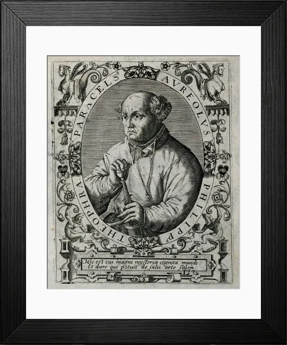 Framed Print : Philippus Theophrastus Aureolus Bombastus von Hohenheim (Paracelsus), 1645. Creator: Bry Framed Print : Philippus Theophrastus Aureolus Bombastus von Hohenheim (Paracelsus), 1645. Creator: Bry