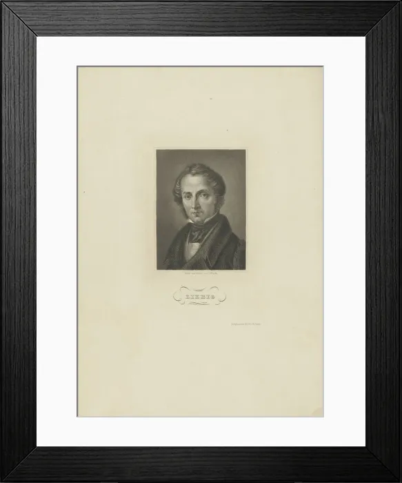 Framed Print : Portrait of the chemist Justus von Liebig, c. 1840. Creator: Barth, Carl (1787-1853) Framed Print : Portrait of the chemist Justus von Liebig, c. 1840. Creator: Barth, Carl (1787-1853)