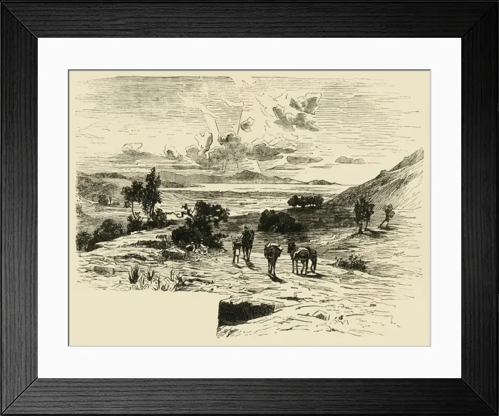 Framed Print : Plain of Marathon, 1890. Creator: Unknown Framed Print : Plain of Marathon, 1890. Creator: Unknown