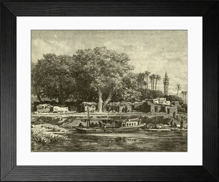 Framed Print : View on the Delta of the Nile, 1890. Creator: Unknown Framed Print : View on the Delta of the Nile, 1890. Creator: Unknown