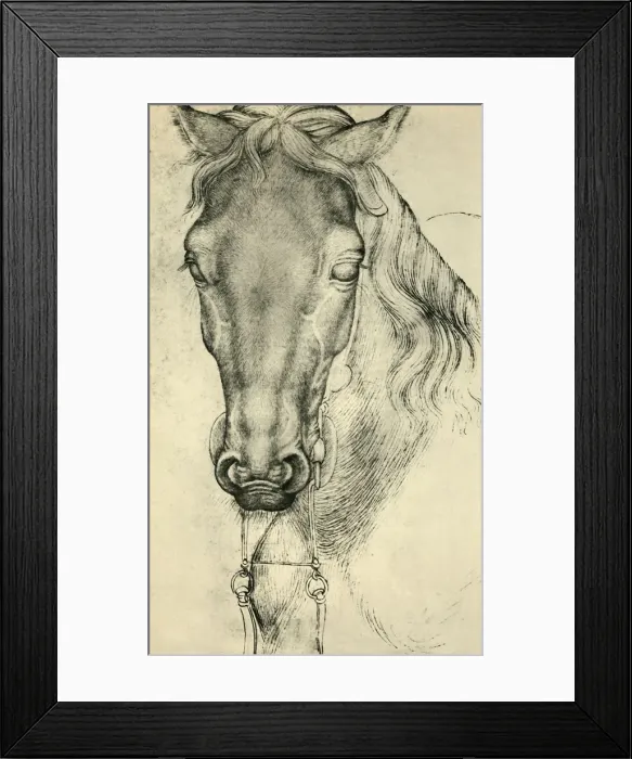 Framed Print : Head of a horse, c1420-1455, (1943). Creator: Pisanello Framed Print : Head of a horse, c1420-1455, (1943). Creator: Pisanello